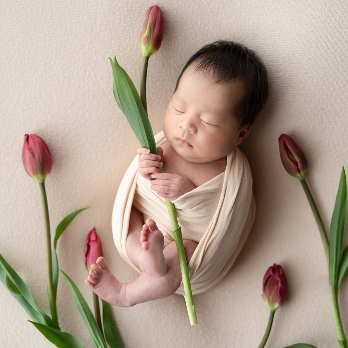 Newborn Photography Props Wrap Spandex Swaddle - Newborn Posing Wrap Newborn Photo Props Newborn Photography newborn outfits